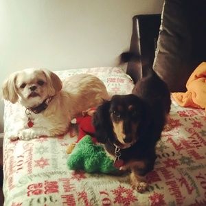 Meet your Posher, Danielle